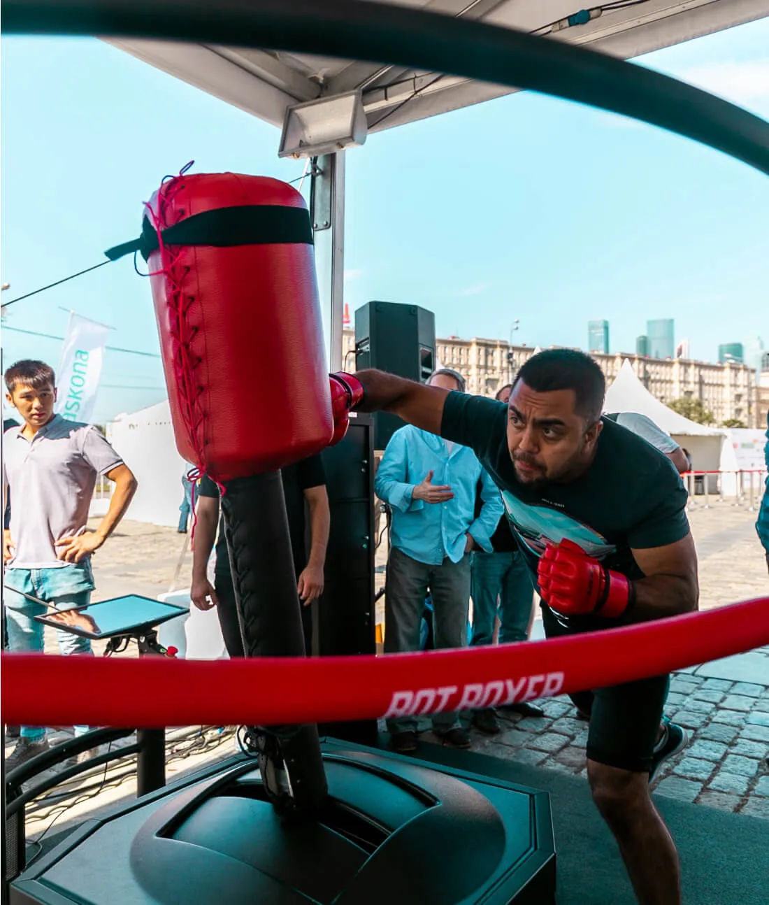 BotBoxer drawing attention